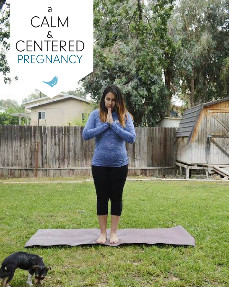 a calm and centered pregnancy | the power of yoga during pregnancy | mama bird box